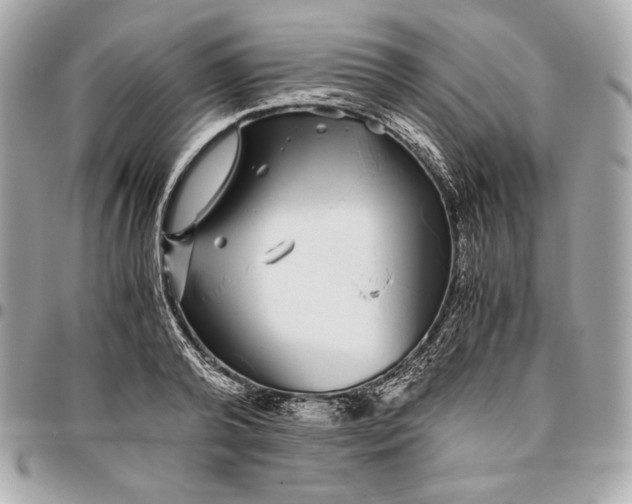 X0000096420792200802071701