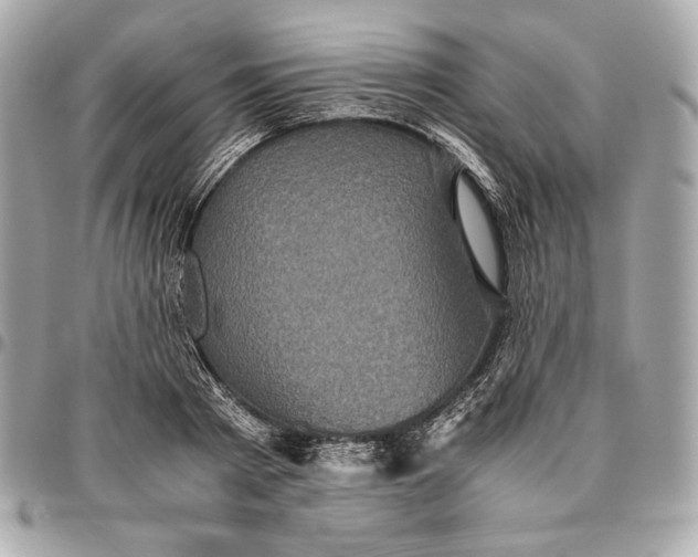 X0000096420793200802071701