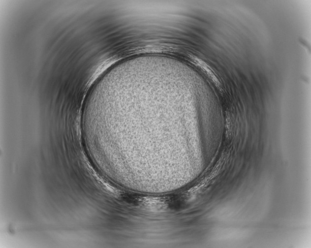 X0000096420794200802071701