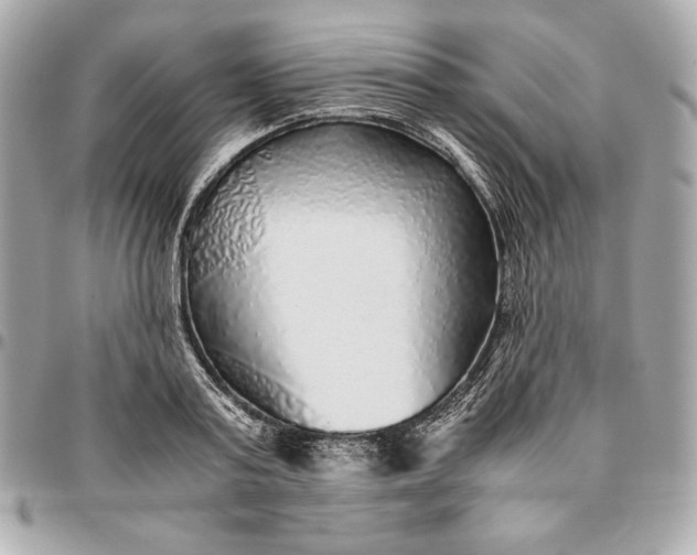 X0000096420795200802071701