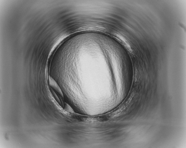 X0000096420796200802071701