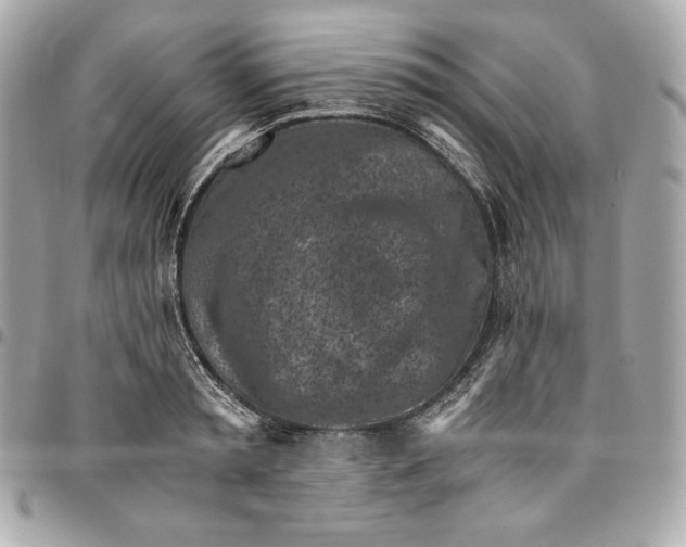 X0000096420797200802071701