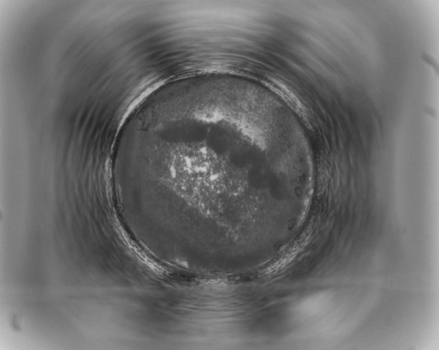 X0000096420798200802071701