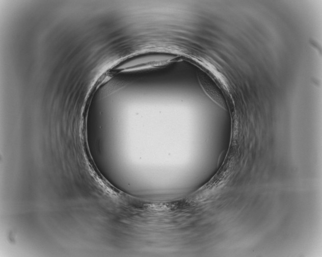 X0000096420799200802071701