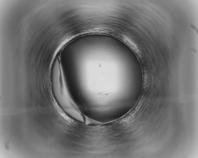 X0000096420800200802071701