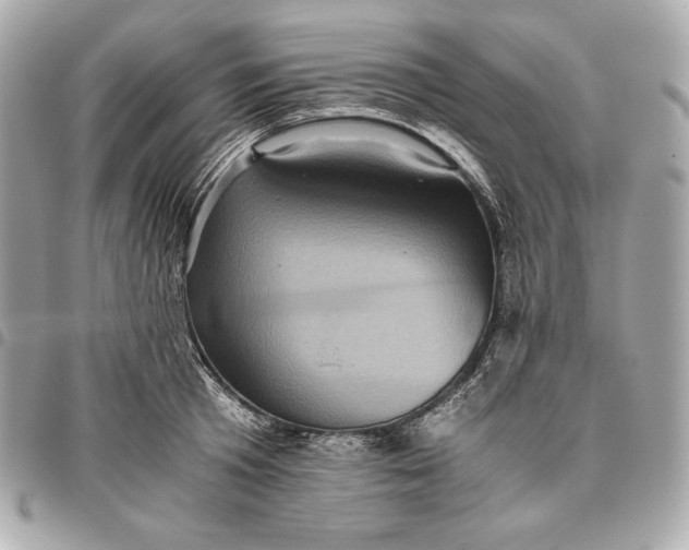 X0000096420801200802071701