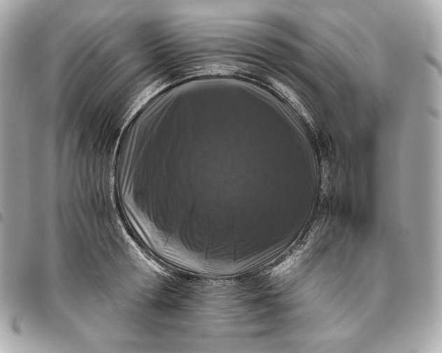 X0000096420802200802071701