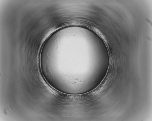 X0000096420803200802071701