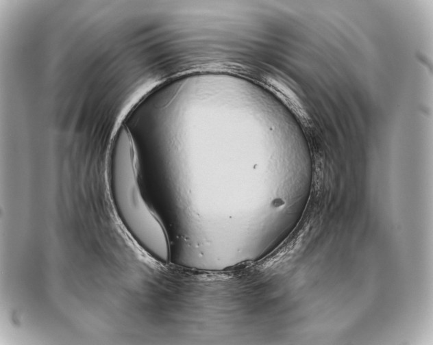 X0000096420804200802071701