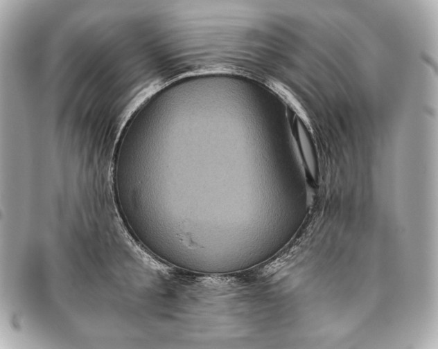 X0000096420805200802071701