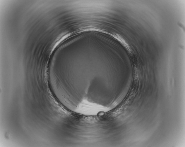 X0000096420806200802071701