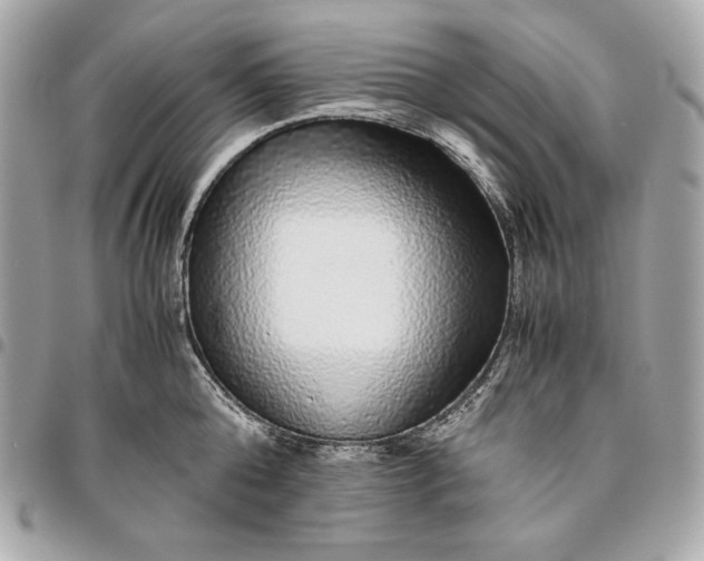 X0000096420808200802071701