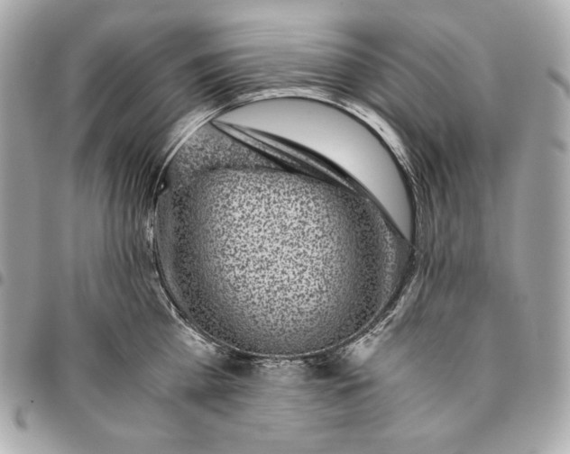 X0000096420809200802071701