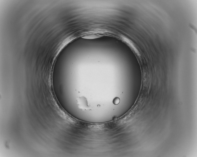 X0000096420810200802071701