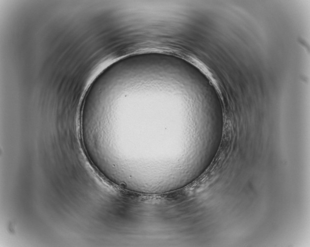 X0000096420811200802071701