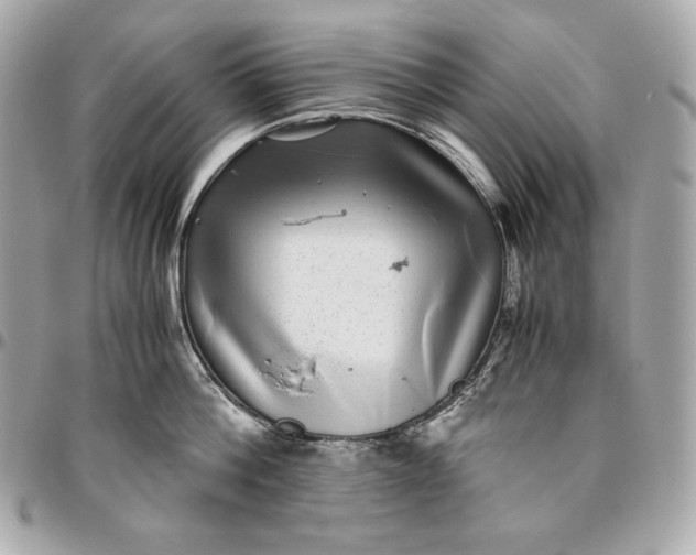 X0000096420812200802071701