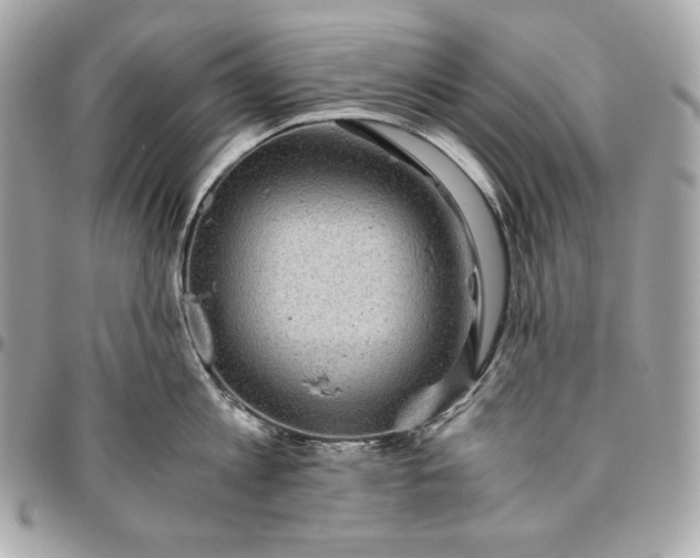 X0000096420813200802071701