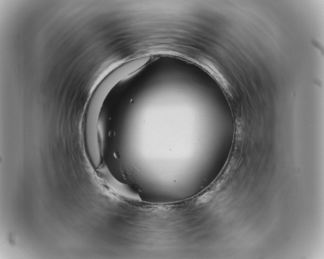 X0000096420814200802071701