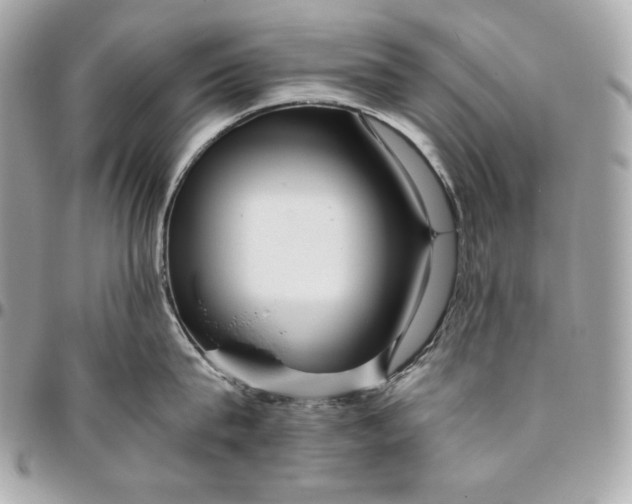 X0000096420815200802071701