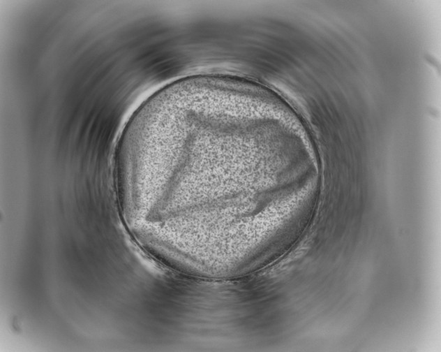 X0000096420816200802071701