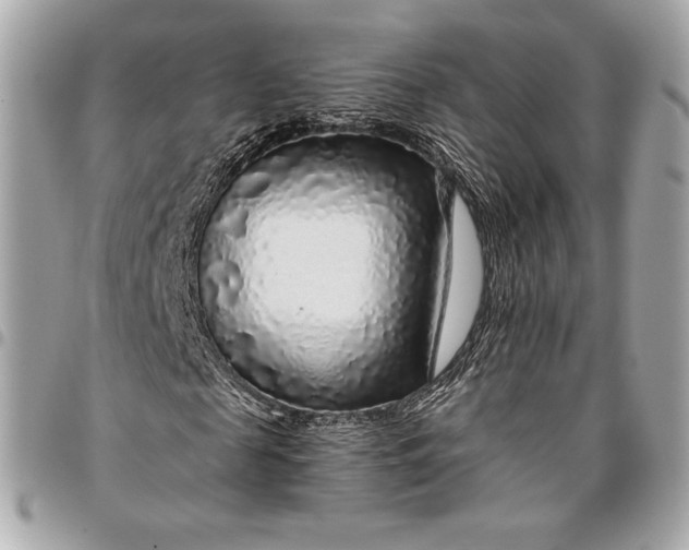 X0000096420817200802071700