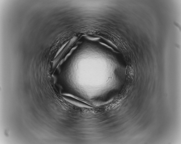 X0000096420818200802071700