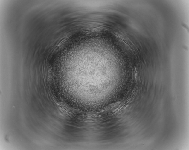 X0000096420819200802071700