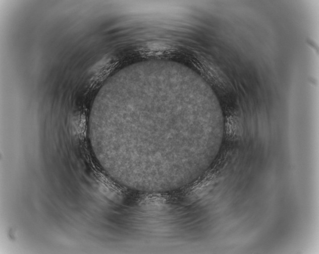 X0000096420820200802071700