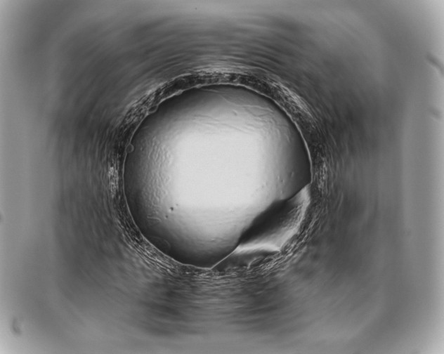 X0000096420821200802071700