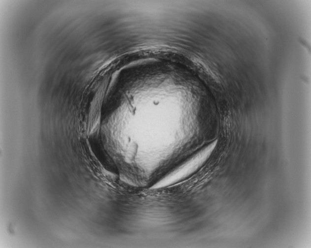 X0000096420822200802071700