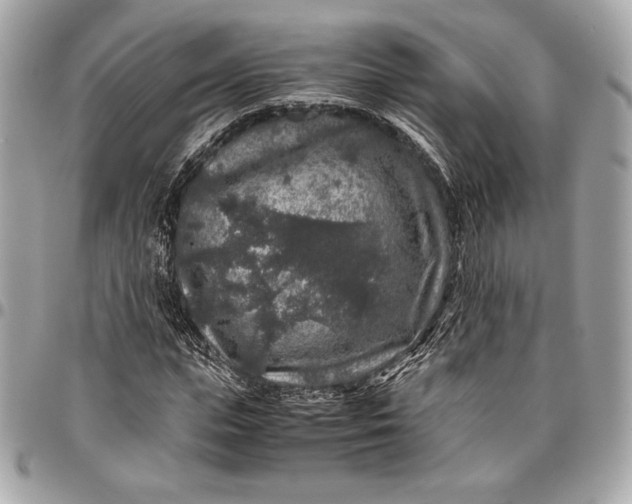 X0000096420823200802071700