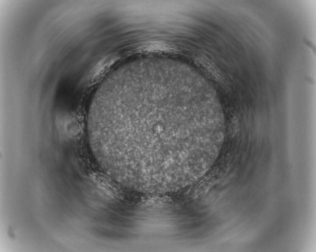 X0000096420824200802071700