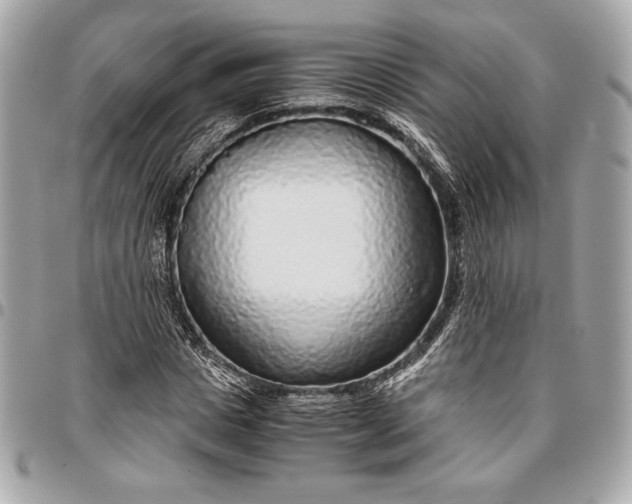 X0000096420825200802071700