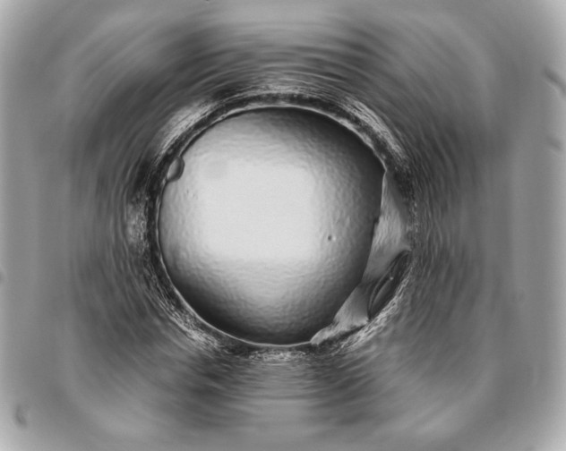 X0000096420826200802071700