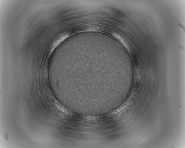 X0000096420827200802071700