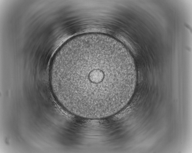 X0000096420828200802071700