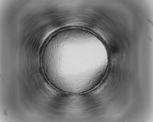 X0000096420830200802071700