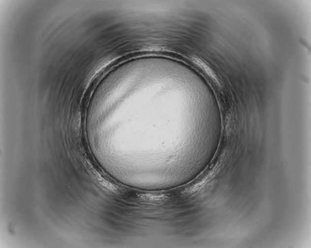 X0000096420831200802071700