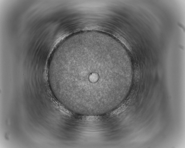 X0000096420832200802071700