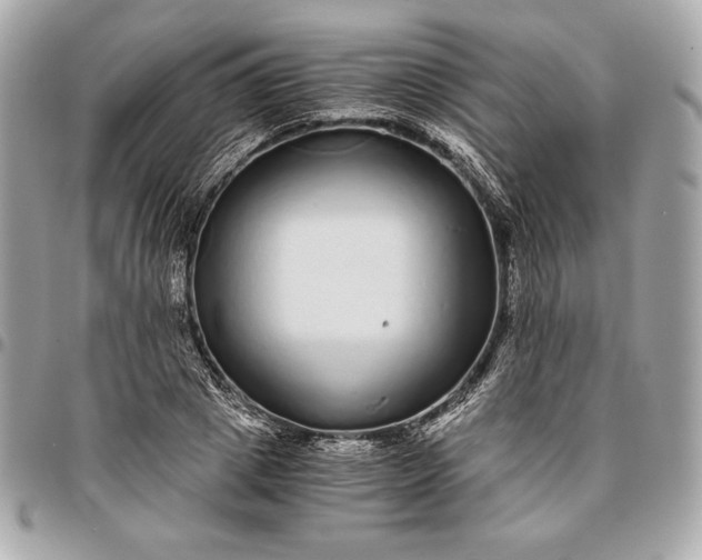 X0000096420833200802071700