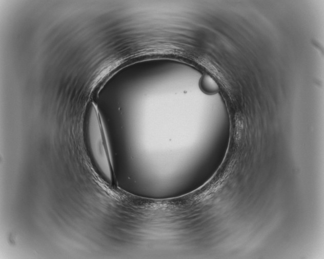 X0000096420834200802071701