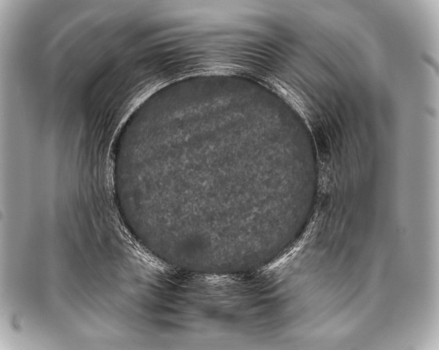 X0000096420835200802071701