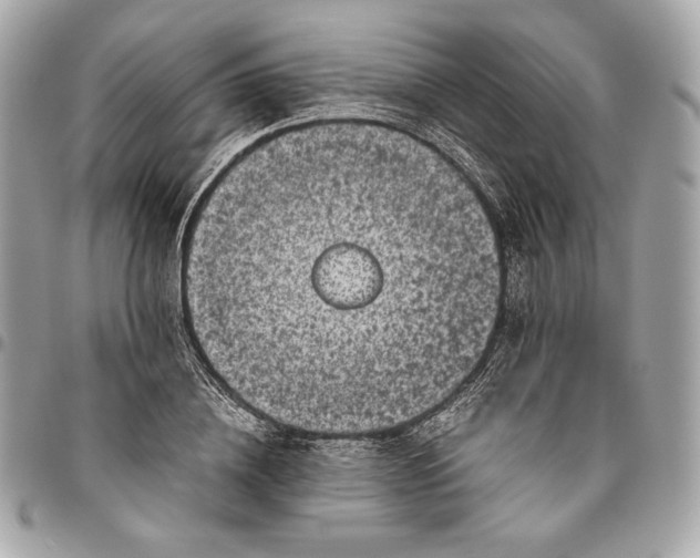 X0000096420836200802071701