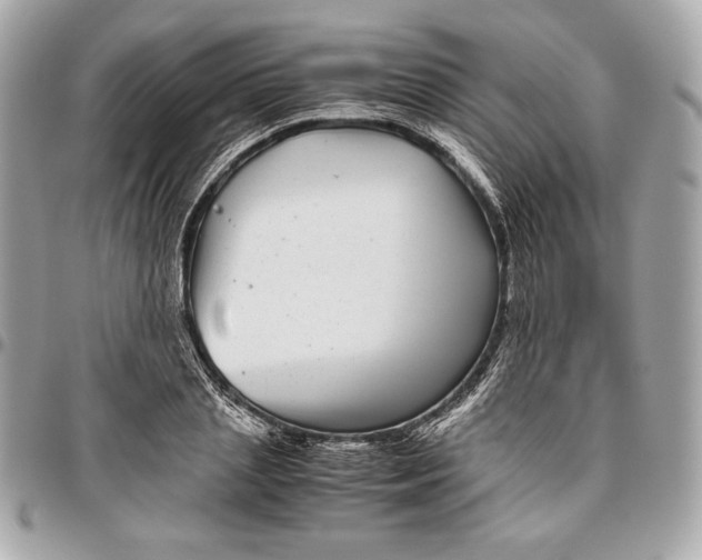 X0000096420837200802071701