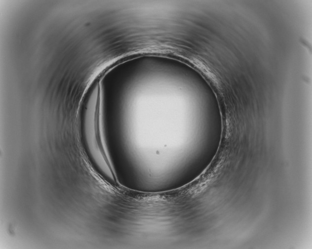 X0000096420838200802071701