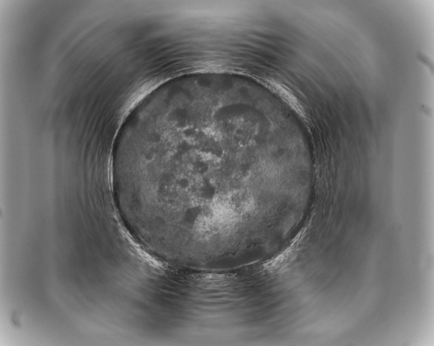 X0000096420839200802071701