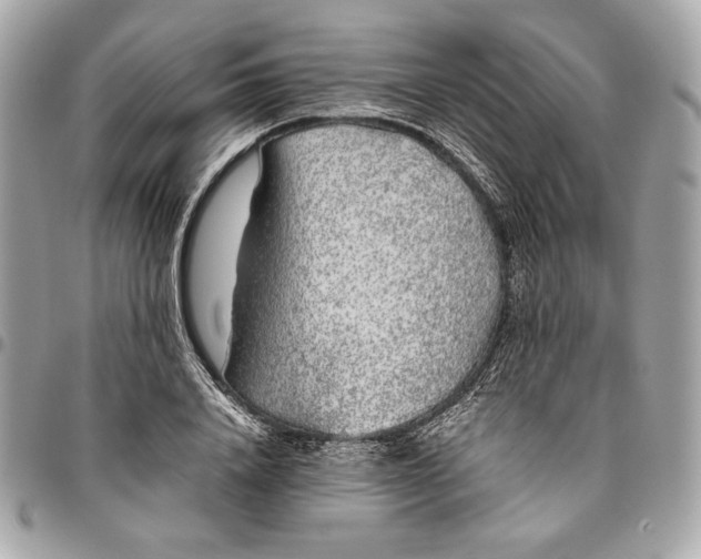 X0000096420840200802071701