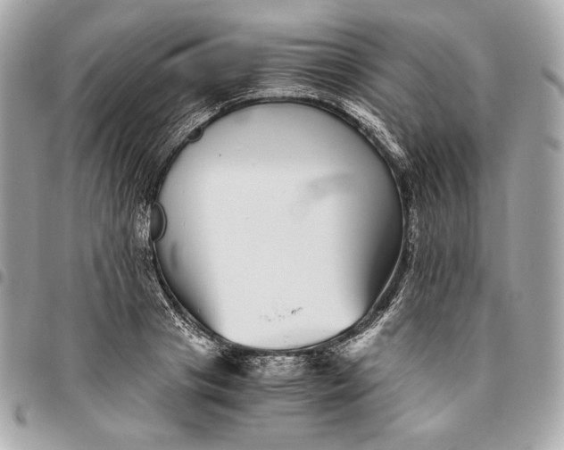 X0000096420841200802071701