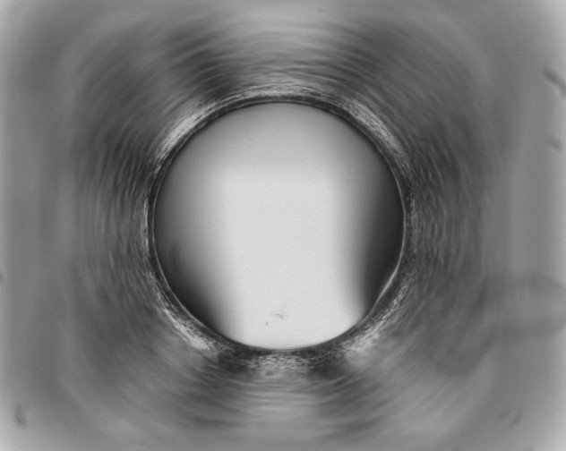 X0000096420842200802071701