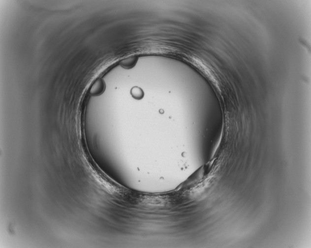 X0000096420843200802071701